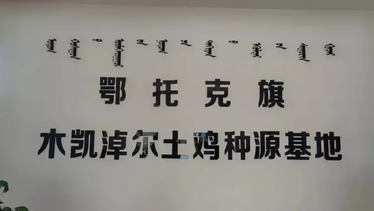 红色精神奠基着的鄂托克旗(图5)