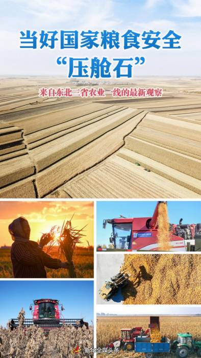 当好国家粮食安全“压舱石”——来自东北三省农业一线的最新观察(图1)