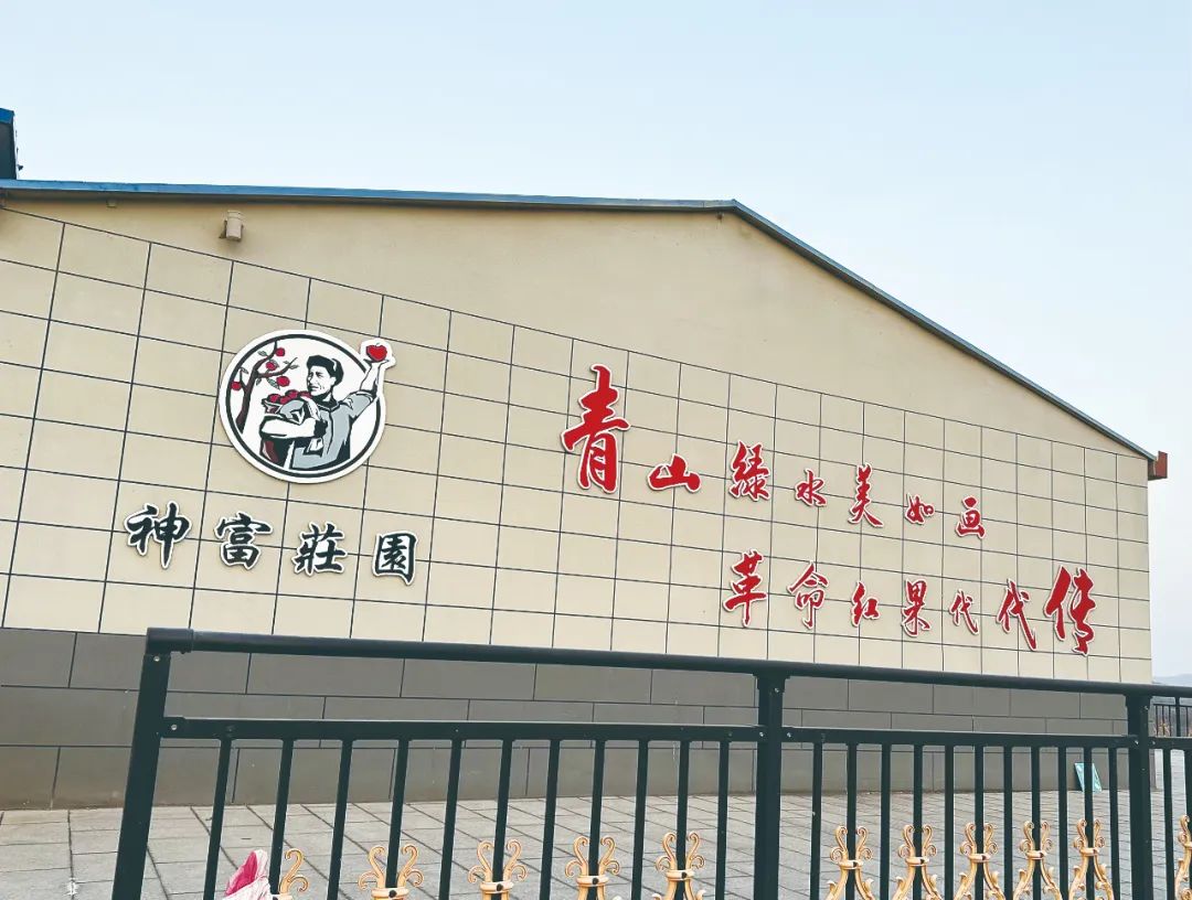 接官亭村苹果的“酸甜”事(图3)