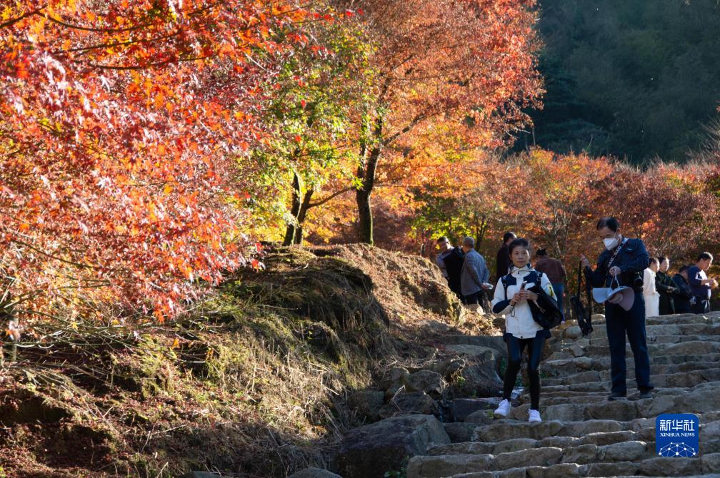 入冬好风景 带热乡村游(图2)