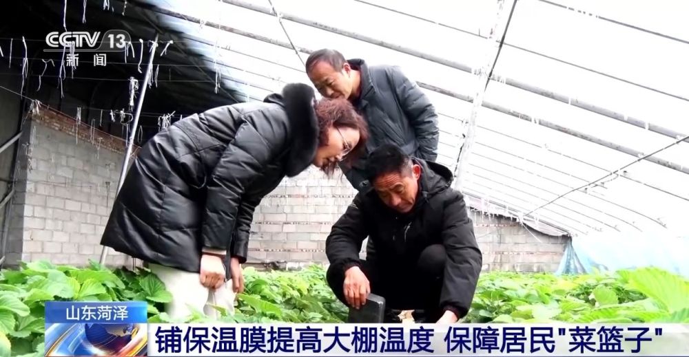 “菜篮子”量足价稳！从田间到超市 多方发力保供稳价(图2)