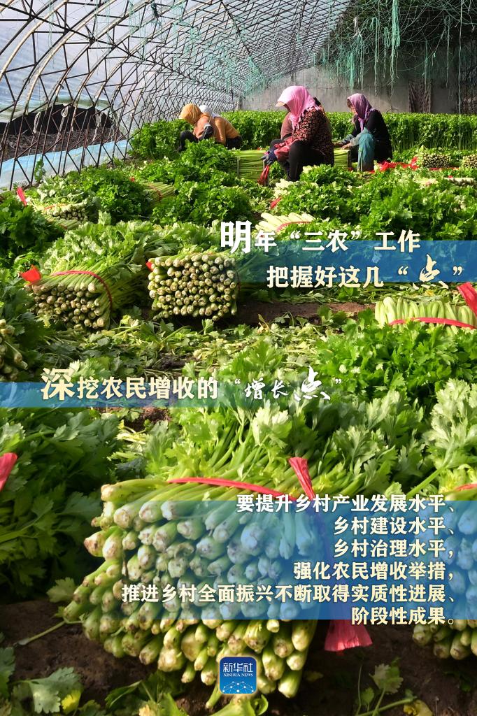 明年“三农”工作，这几个“点”要把握好(图2)
