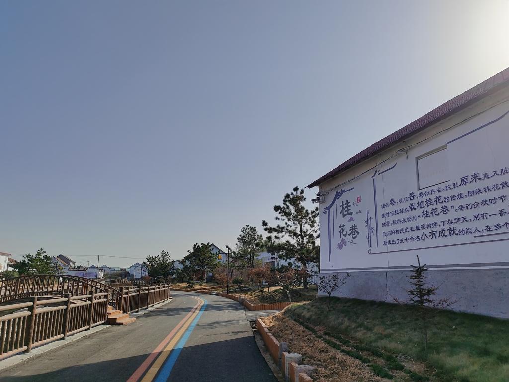 山东沂水：乡村振兴中的“精打细算”经(图1)