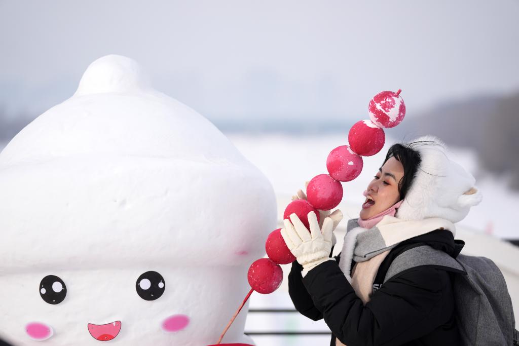 “火爆并非偶然”——哈尔滨冰雪旅游一线观察(图4)