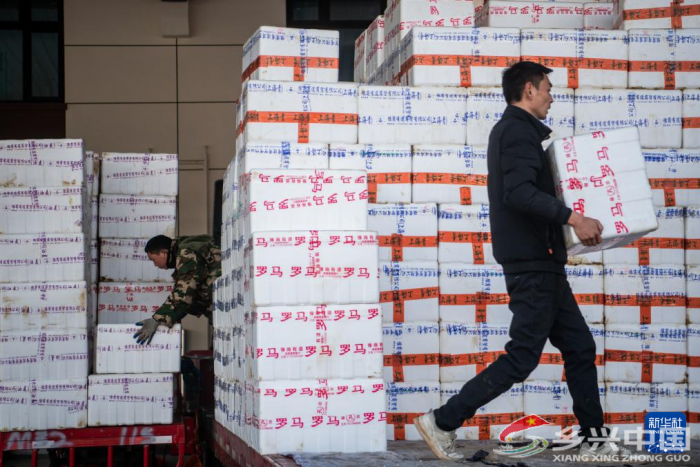华中超级“菜篮子”保障年货供应(图4)