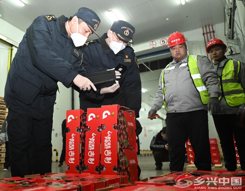 车厘子抵达天津港后，都去哪了？(图1)