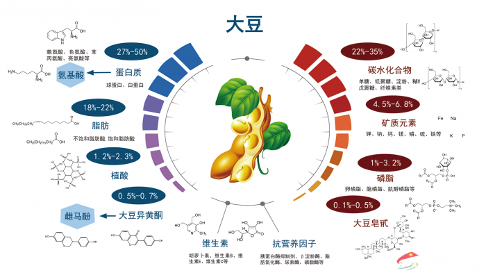 一颗大豆的“十八般武艺”(图2)