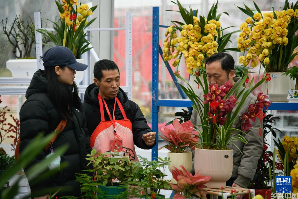 成都：逛年宵花市 喜迎新春(图2)