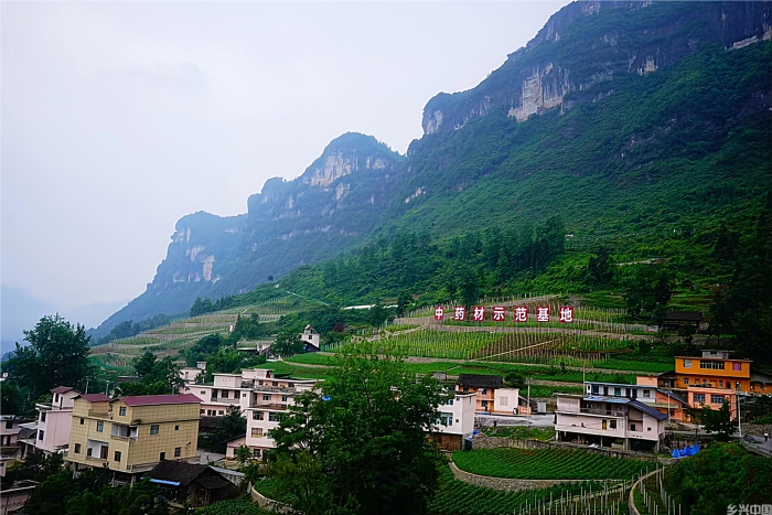 新春走基层 | 彭水苗族土家族自治县润溪乡的“致富果”(图2)
