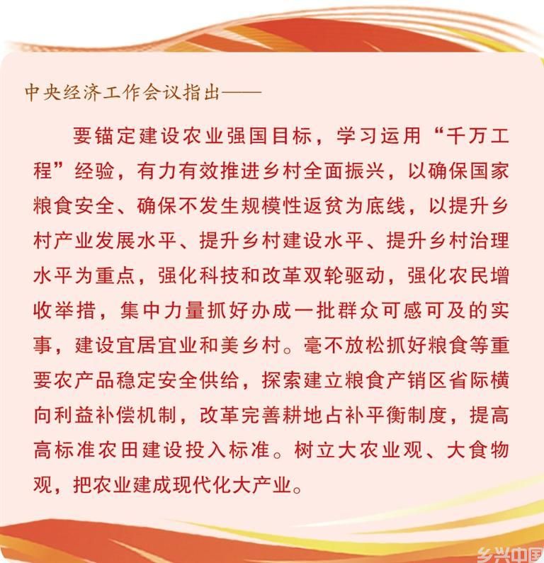 有力有效推进乡村全面振兴(图1)