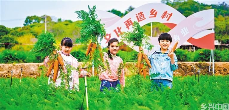 生态美 产业兴(图9)