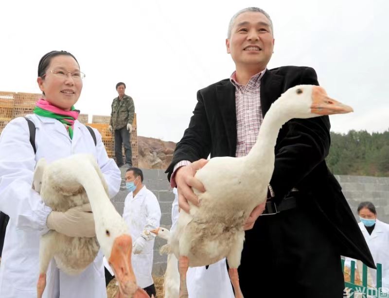 指导员驻村手记：笔下的小事 心中的大爱(图10)