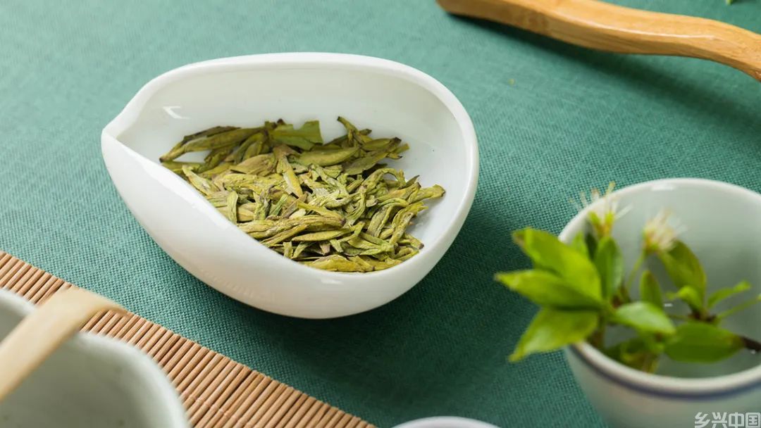 西湖龙井：绿茶皇后　源自千年(图2)