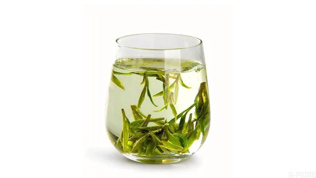 西湖龙井：绿茶皇后　源自千年(图4)