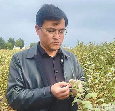 在广袤田野上绽放青春之花(图2)