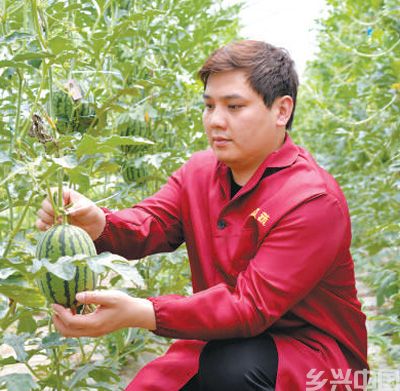 在广袤田野上绽放青春之花(图3)
