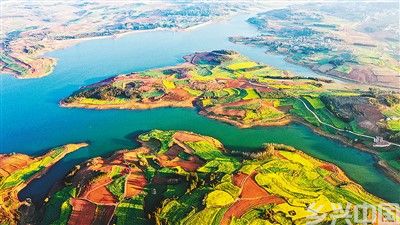 春来花意浓(图1)