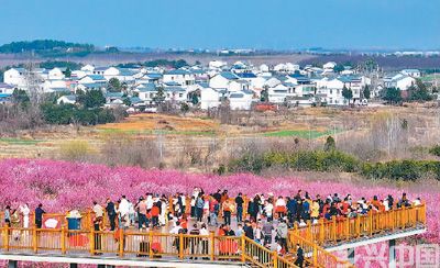 春来花意浓(图2)