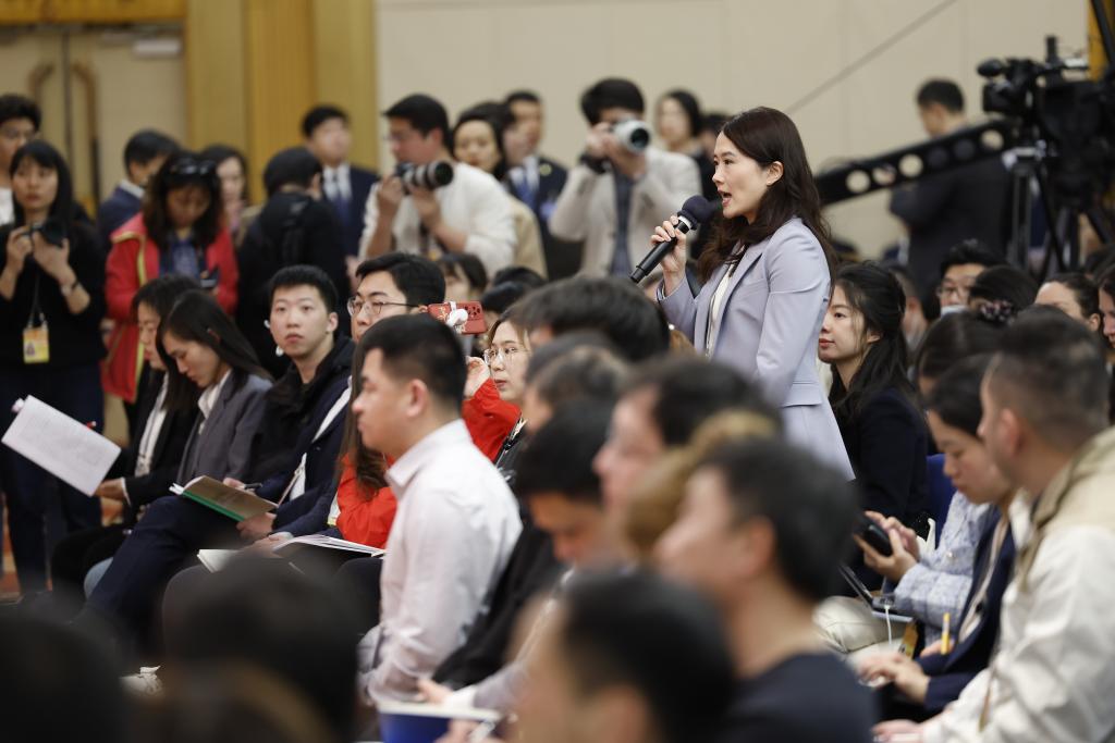 十四届全国人大二次会议举行经济主题记者会(图5)
