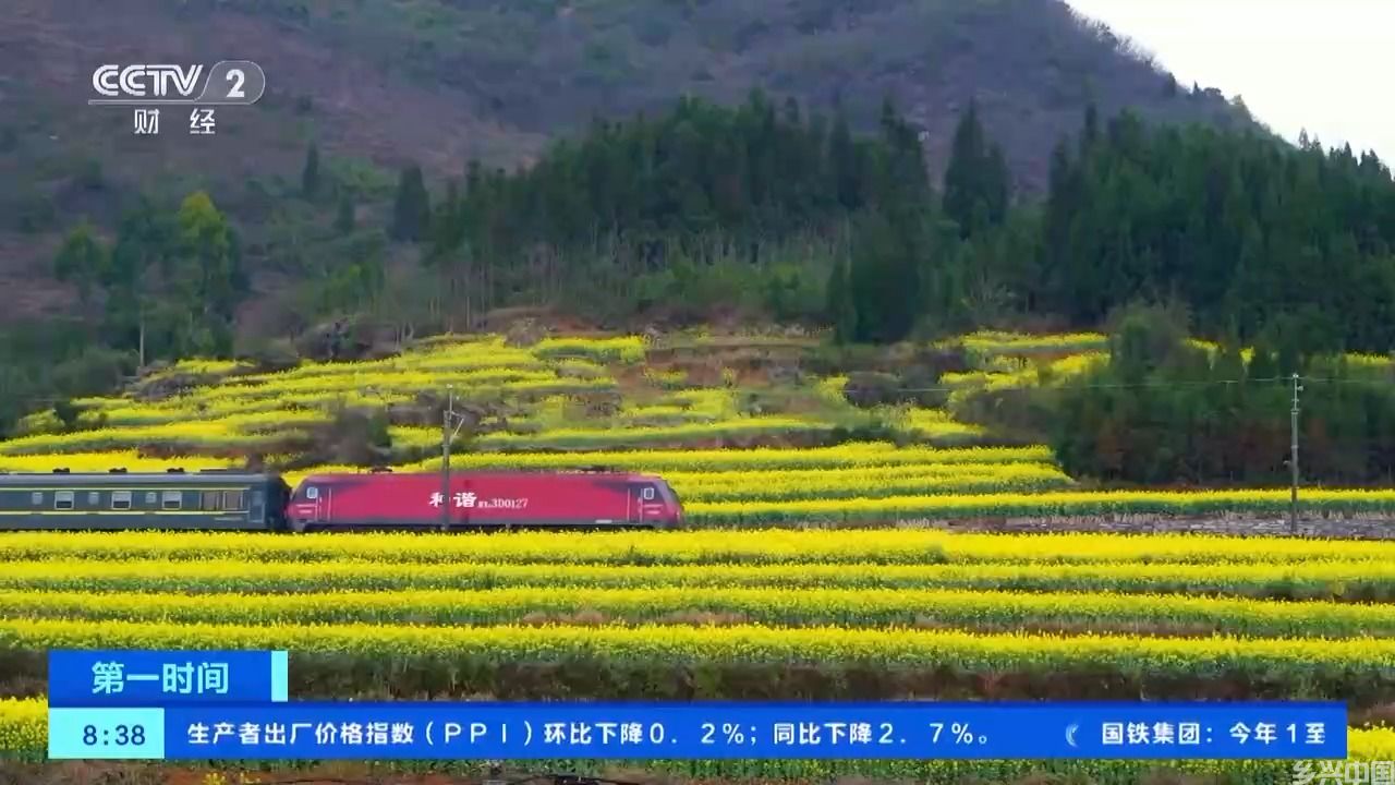 热度同期上涨超3倍！“赏花游”持续升温，成春季旅游市场亮点(图2)