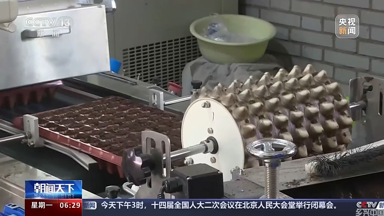 农田吃上“营养餐”、自动化播种育苗 多地春耕大幕已开启(图2)