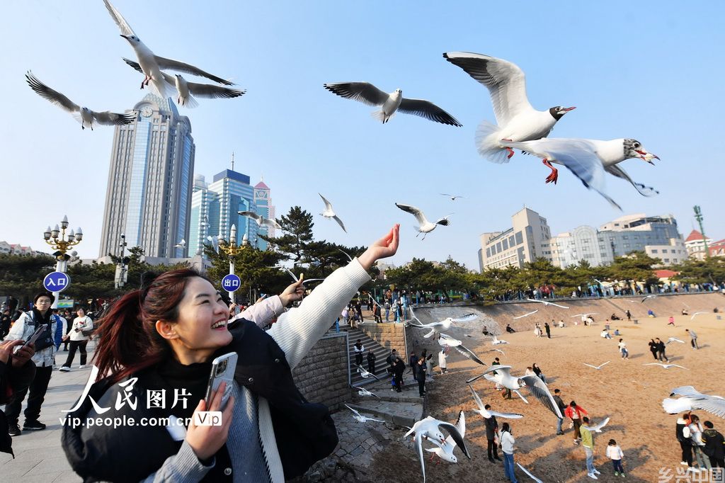 2024年3月14日，一名游客与红嘴鸥亲密互动。