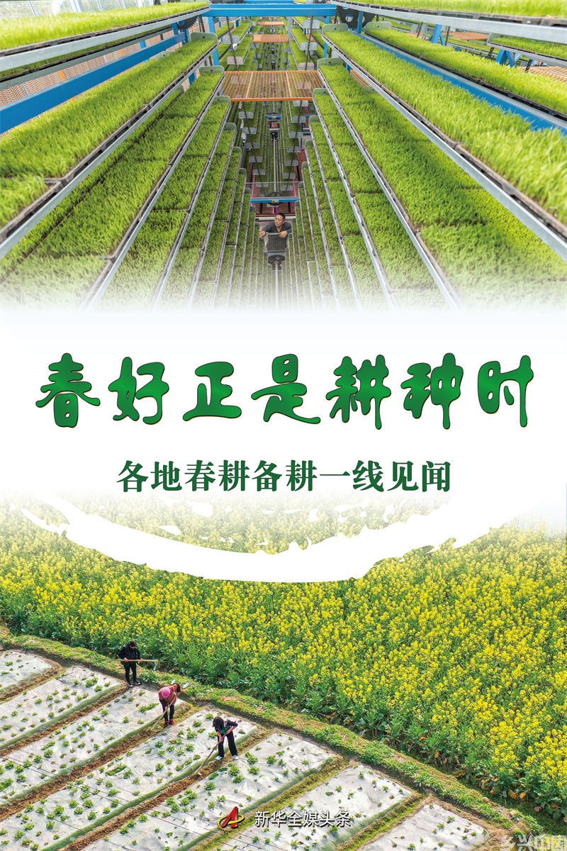 春好正是耕种时——各地春耕备耕一线见闻(图1)