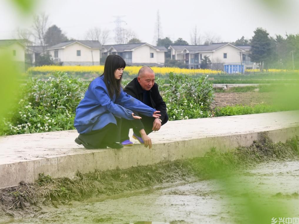王伶俐：“90后”新农人和她的七千亩田(图1)
