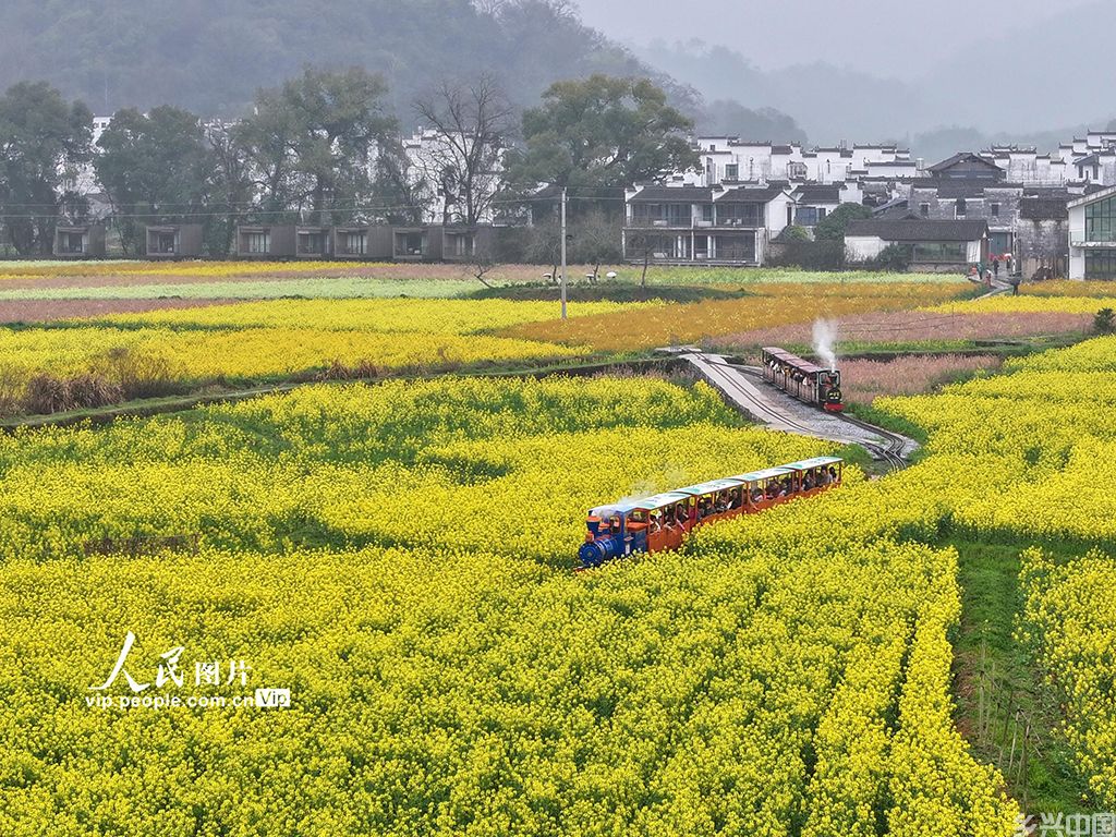 江西婺源:油菜花开迎客来【6】