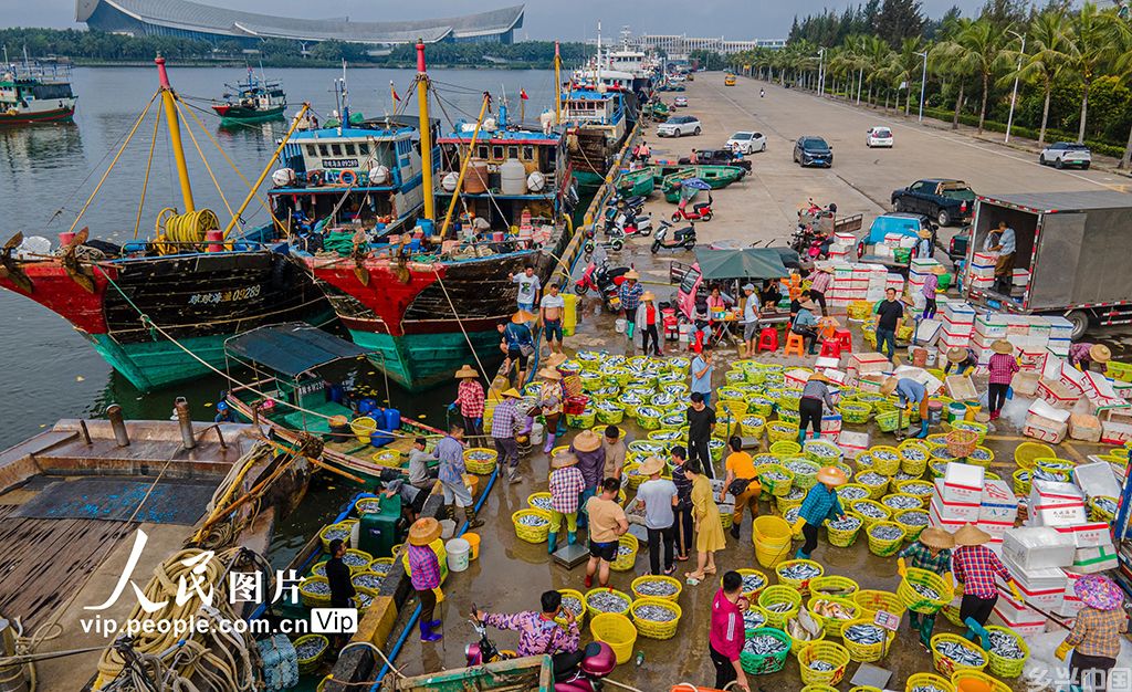 海南琼海:春光明媚耕海忙