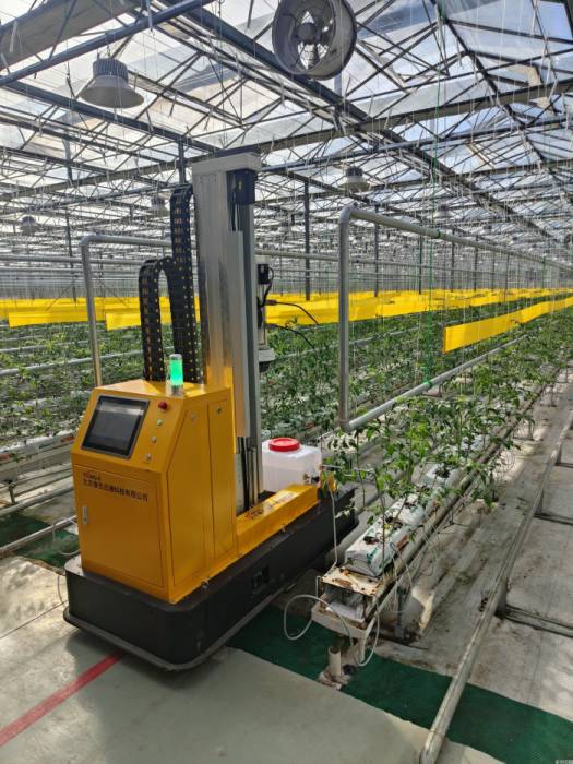北京推出蔬菜智慧植保系统：AI赋能绿色防控 守护农产品质量安全(图2)
