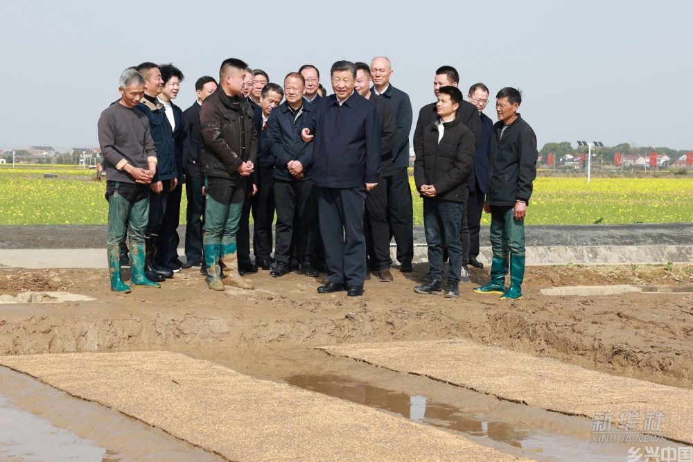 习近平走进农田考察春耕备耕情况(图3)