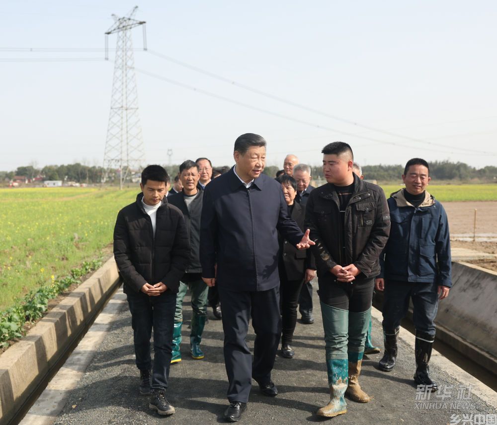 习近平走进农田考察春耕备耕情况(图5)