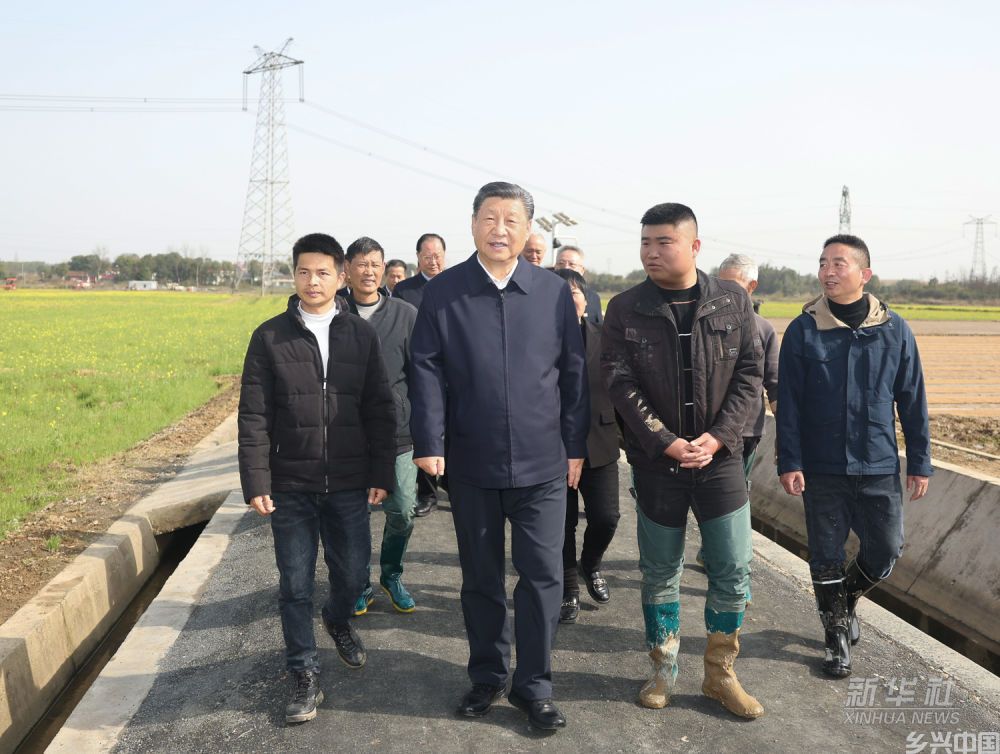 习近平走进农田考察春耕备耕情况(图6)