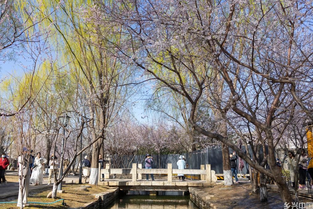 踏青赏春 了解这些远离花粉过敏(图1)