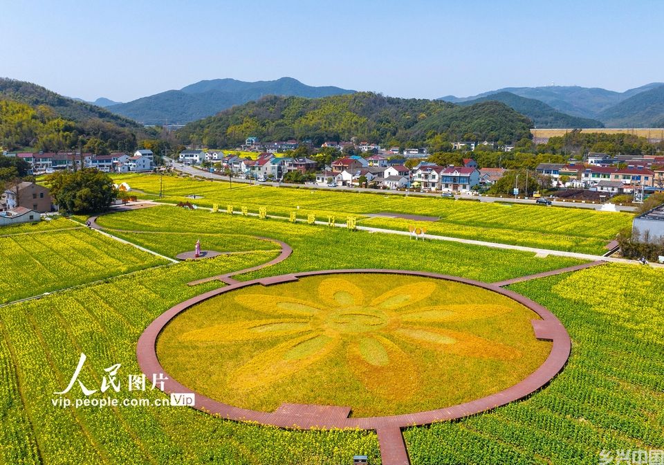 2024年3月20日，春色如画的浙江省宁波市镇海区九龙湖镇九龙湖村油菜花田与民居。