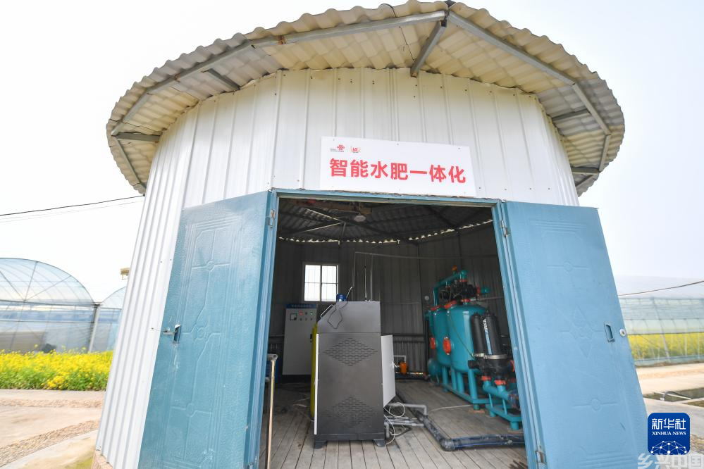 抢抓农时备春耕 科技育苗助增产(图7)