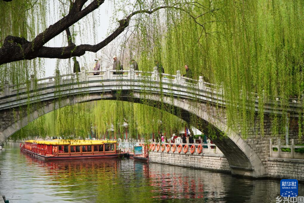 山东济南：护城河畔春色浓(图4)