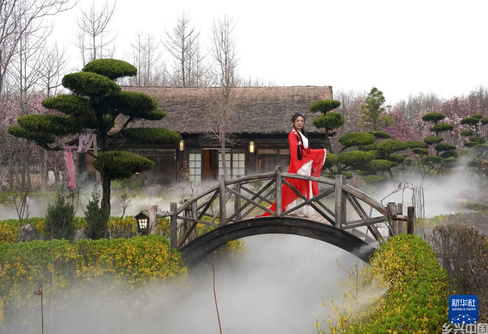 春花邂逅古建，花都“种花人”的中式浪漫(图5)