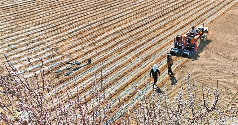 科技助农(图3)