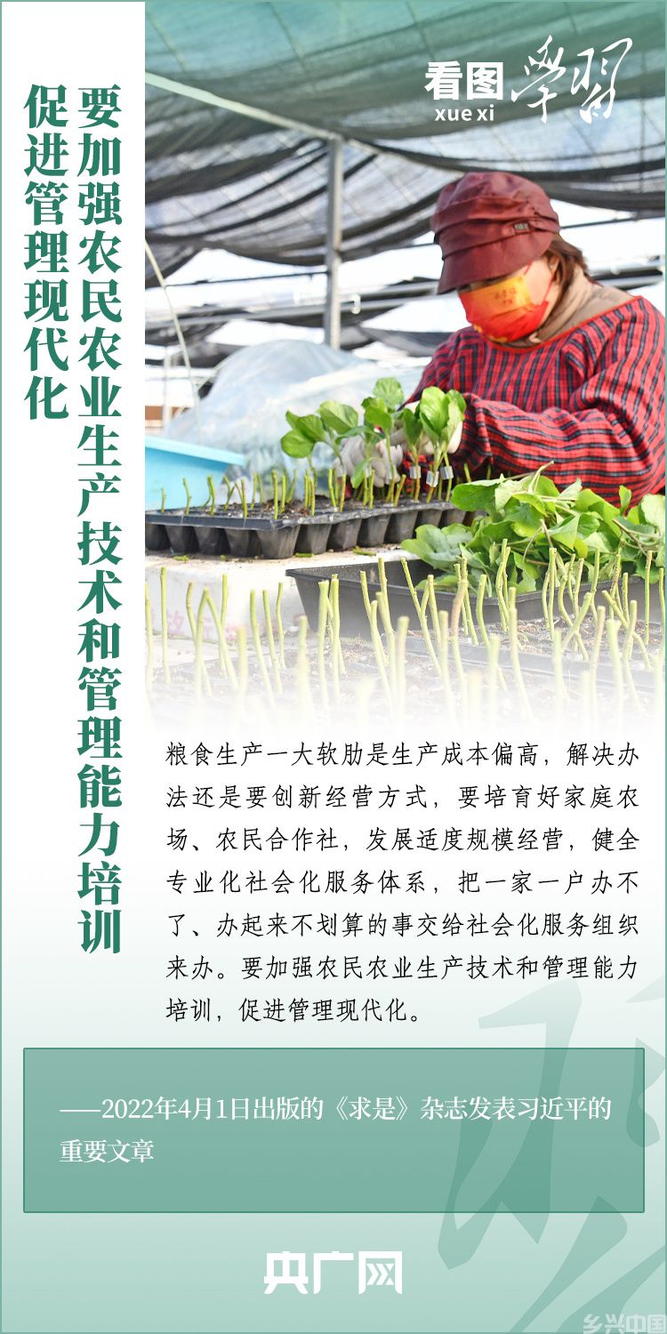 推广良田、良种、良法、良机，给农业现代化插上科技的翅膀(图4)