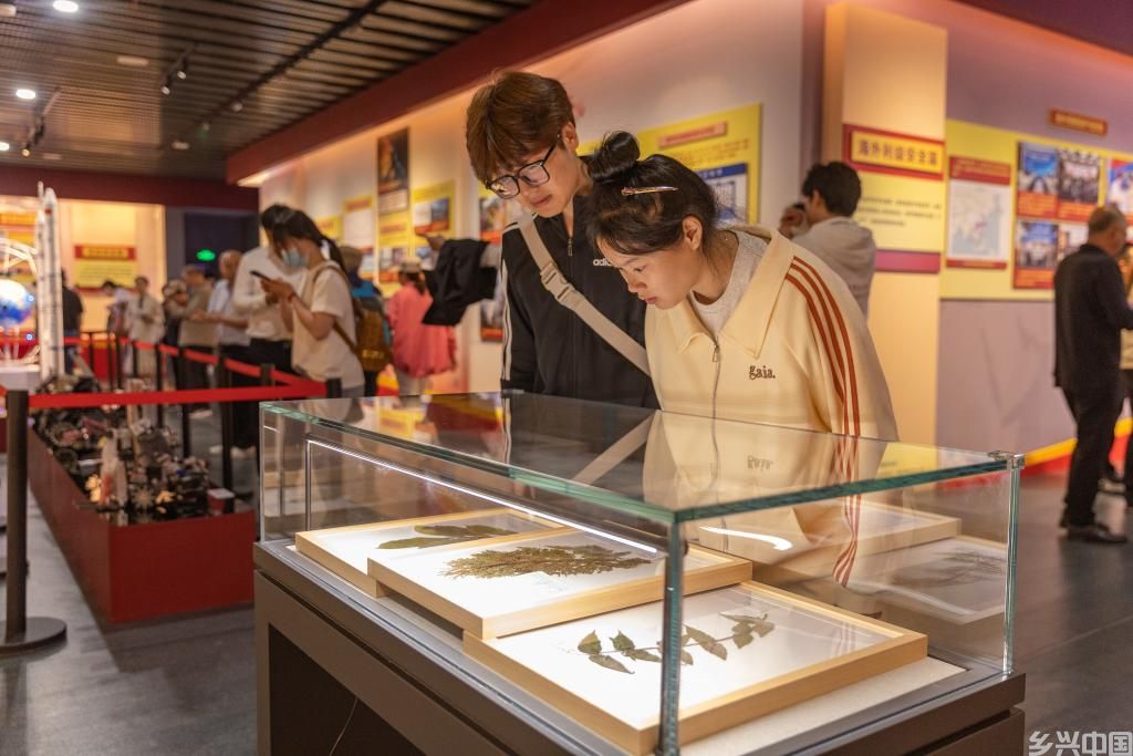 多地举行全民国家安全教育日宣教活动(图7)