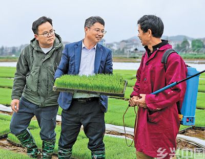 绿色种植扎下根(图2)