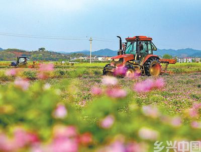 绿色种植扎下根(图1)
