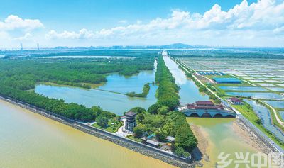 江河入海处 生机正盎然(图1)