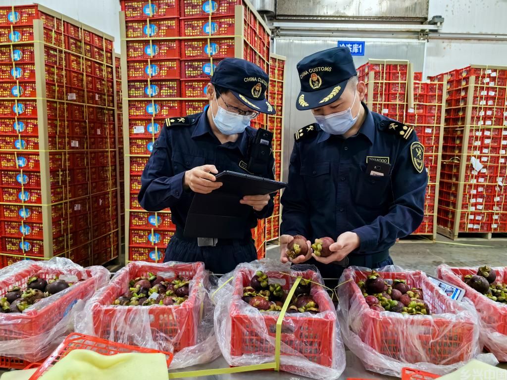 小水果,大市场(图2)