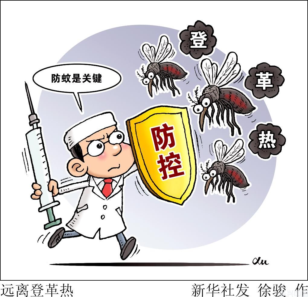 国际旅行警惕登革热 预防是关键(图1)