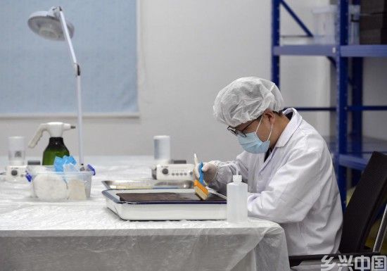 “考古新声”揭示中华文明传承密码(图2)