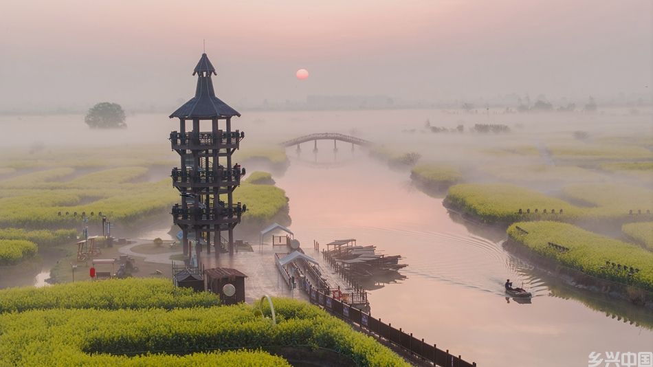 千垛菜花景区雾景。周社根摄