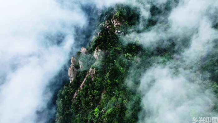 安徽青阳：云绕山峦春色美(图4)